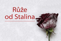 Ruze-od-Stalina-perex