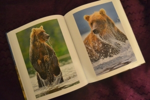 Kniha obsahuje spoustu nádherných fotografií.