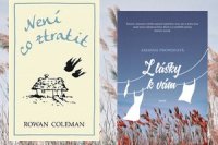 pozor_domaci_nasili_nahledovy