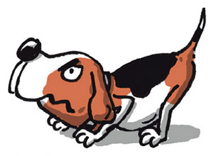 Muj-psi-zivot-ukazka-2