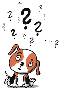 Muj-psi-zivot-ukazka