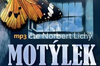 motylek nahled