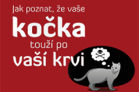 Jak-poznat-ze-vase-kocka-touzi-po-vasi-krvi-perex