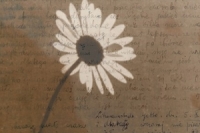 Denik Rivky Lipszycove