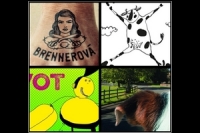 Knizni tipy_kobliha s marmeladou_krava nebeska_zverolekar_brennerova