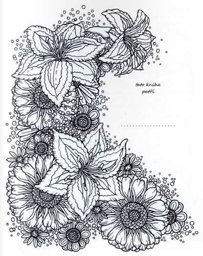 Herbar omalovankovy_ukazka1