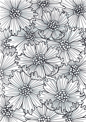 Herbar omalovankovy_ukazka2