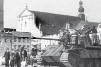 Kveten v jiznich Cechach