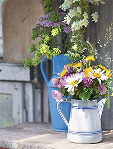 letni-kuchyne-plna-slunce-a-vuni-ukazka