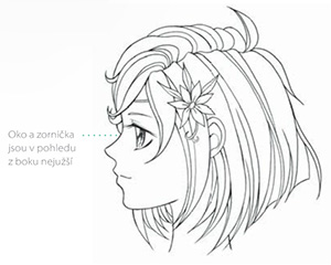 naucte-se-kreslit-manga-postavy-ukazka