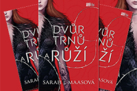 dvur-trnu-a-ruzi-perex