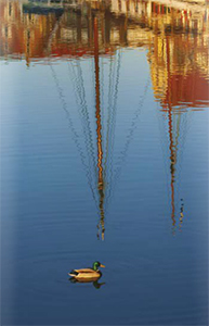 naucte-se-fotografovat-dobre-kompozice-ukazka