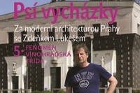 psi-vychyzky-5-fenomen-vinohradska-trida