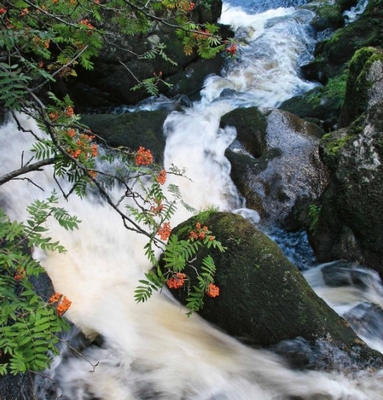 heiko-hahnsen_zahrada-sily_ukazka