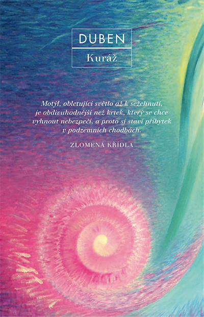 hledani-diar-2017-ukazka