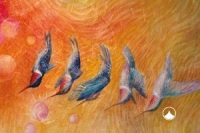 moudrost-kradu-u-svatych