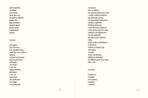 ukazka_z_knihy_nejlepsi_ceske_basne_2016