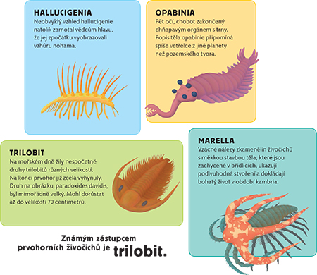 atlas-prehistorie-pro-deti-ukazka-3