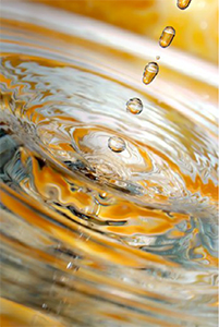 fotografie-v-praxi-expozice-ukazka