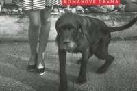 Kniha o Baltimorských