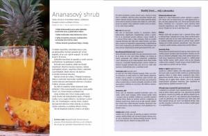 ukazka_z_knihy_Infuzovani