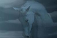 Kralovna ze Zelezne hory