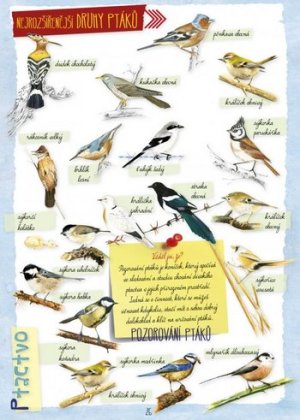 Dobrodruzstvi v prirode 1