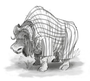 Kralovna Marie Terezie