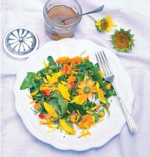 listovy salat s divokymi bylinami a jedlymi kvety