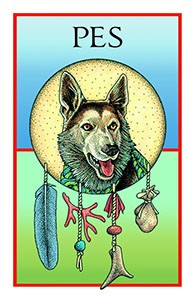 medicinske-karty-ukazka-1