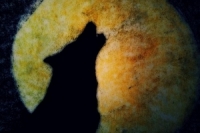 Jiri Dittrich_Nocni rozkaz