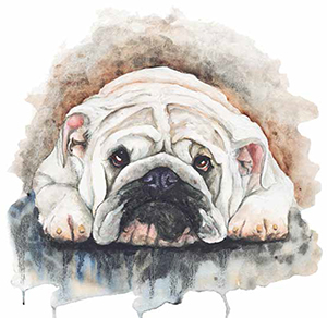 se-psem-me-bavi-svet-ukazka