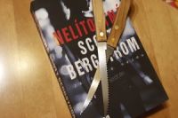 Bergstrom_Nelitostna