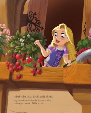 Princezny velka kniza pohadek 1