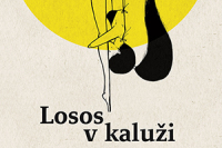 losos-v-kaluzi-perex