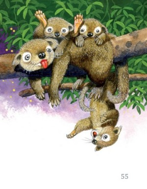 Karolinka a jeji zoo 1