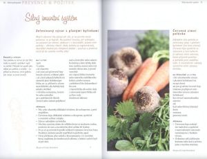 Ukazka-z-knihy-Recepty-z-bylinek