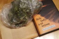 Beck_BylyTadyAUzNejsou