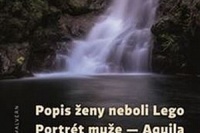 big_popis-zeny-neboli-lego-portret-muze-c6f-347384