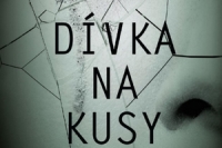 Kathleen Glasgow_Divka na kusy