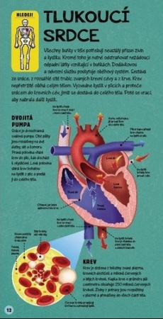 Sestav si lidske telo