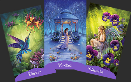 kouzelna-moc-kvetin-ukazka-2