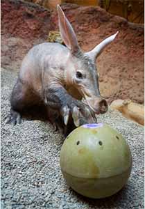 zoopisnik-miroslava-bobka-ukazka-1