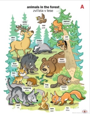 1234 anglickych slovicek