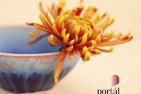 Umeni milujici laskavost