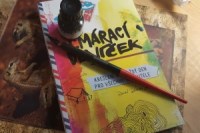 Sokol_CmaraciDenicek