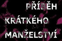 Pribeh kratkeho manzelstvi