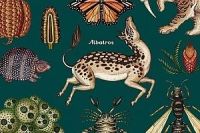 pribeh_zivota_evoluce