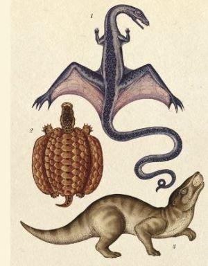 pribeh_zivota_evoluce3