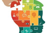 Detsky mozek vysvetleny rodicum